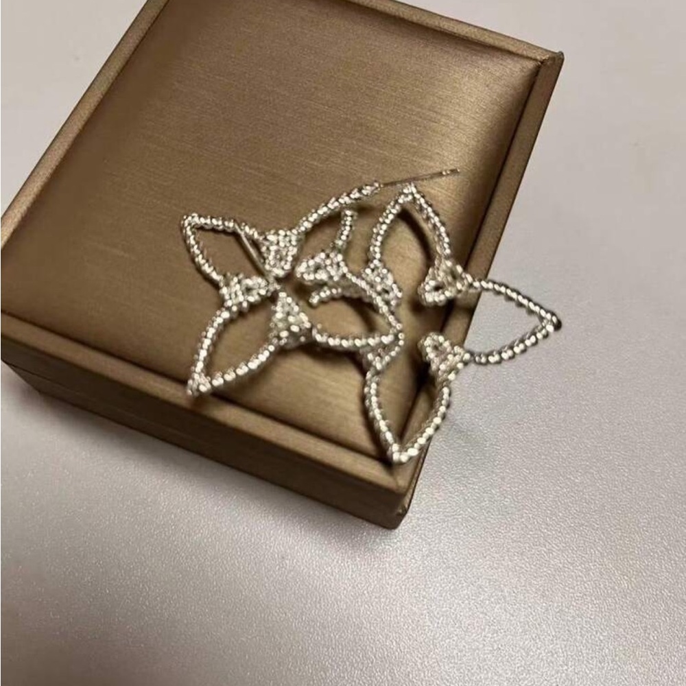 Elegant Silver Star Earrings